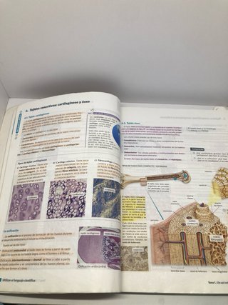 BIOLOGIA GEOLOGIA Y CIENCIAS AMBIENTALES 1 (CER)