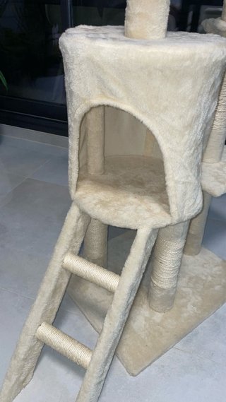 Árbol rascador para gatos