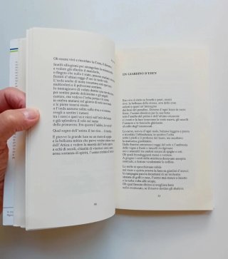 Il giardino di Afrodite di Giovanni Romeo