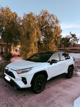 Toyota RAV4 GR (2024) - ¡13 años de Garantía!