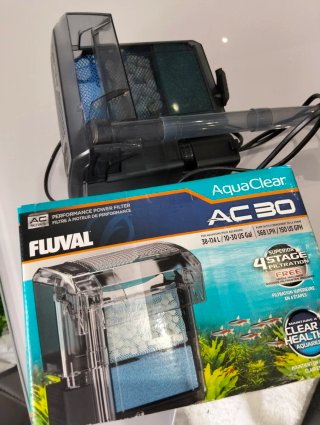 Pecera de cristal con accesorios