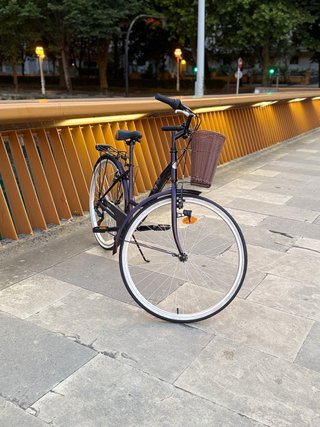 Bicicleta de paseo urbana ciudad