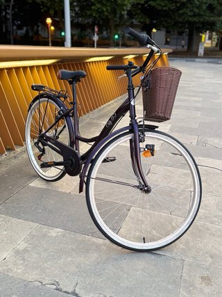 Bicicleta de paseo urbana ciudad