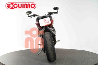 MV AGUSTA RIVALE 800 EAS