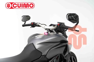 MV AGUSTA RIVALE 800 EAS