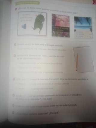 Lengua castellana 3 Primaria