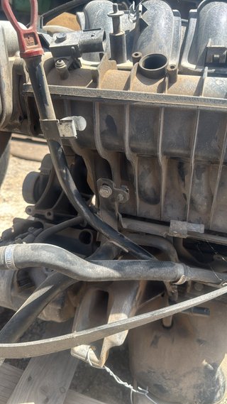 Varilla de aceite motor