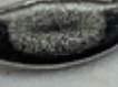 pulsera plata 925mm