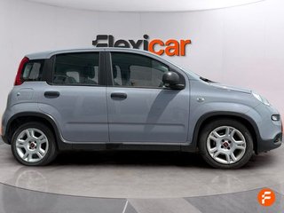Fiat Panda Panda Hybrid 1.0 51kw (70CV)