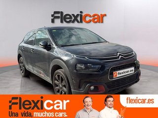 Citroën C4 Cactus PureTech 96kW (130CV) S&S Shine