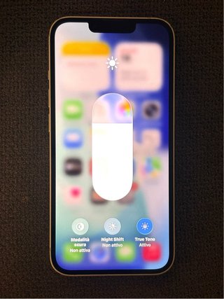 iPhone 13 Apple