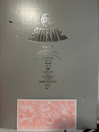 Nike Lebron XX Talla 45.5 Pink Diamond