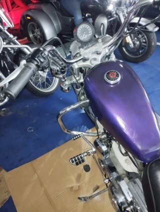 Harley-Davidson Sportster 883 Morado/Negro