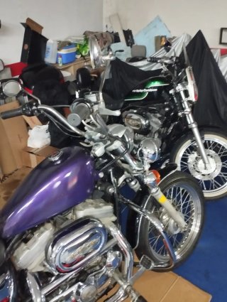Harley-Davidson Sportster 883 Morado/Negro