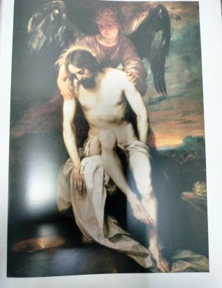 Libro de Arte: La Luz y las Sombras en la Pintura