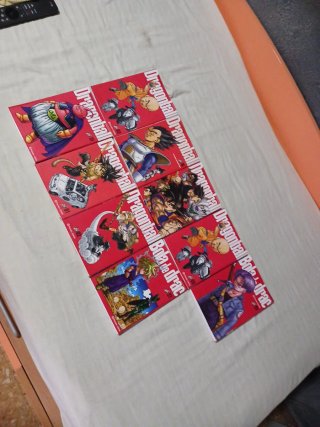 Dragon Ball ultimate 31