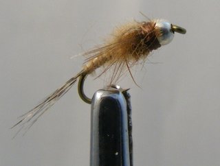NINFAS PARA LA PESCA DE TRUCHAS