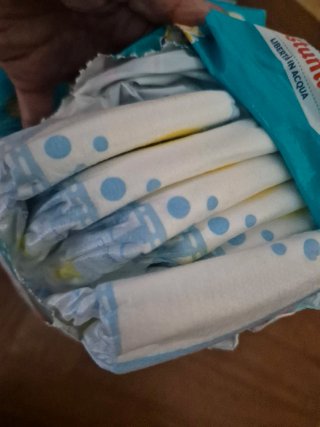 Pampers Costumino 5-6 Baby Shark