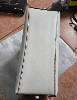 Borsa Coach Mollie Tote 25