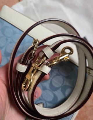 Borsa Coach Mollie Tote 25