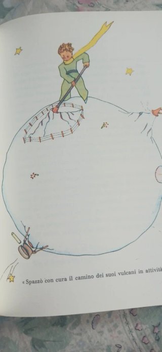Il Piccolo Principe. Ediz. speciale