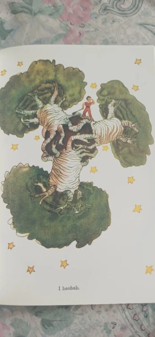 Il Piccolo Principe. Ediz. speciale