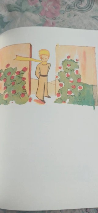 Il Piccolo Principe. Ediz. speciale