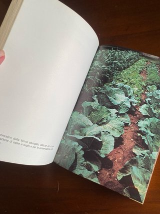 Il Grande Libro dell'Orto - Margherita Solari