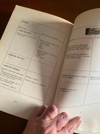 Il Grande Libro dell'Orto - Margherita Solari