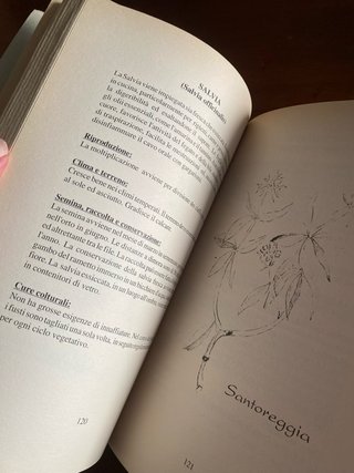 Il Grande Libro dell'Orto - Margherita Solari
