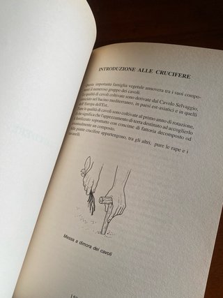 Il Grande Libro dell'Orto - Margherita Solari