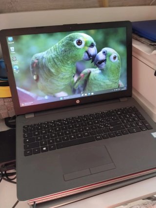 HP 250 G7 Portatile i5 7a Gen Win 11