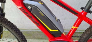 Bici elettrica Lombardo Garda 24