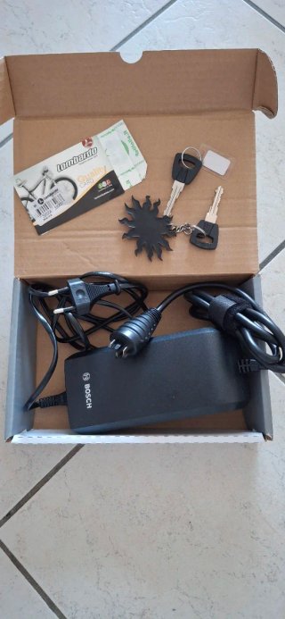 Bici elettrica Lombardo Garda 24
