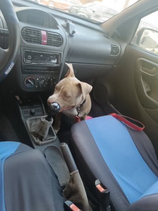 Opel corsa 2004 corsa 2004