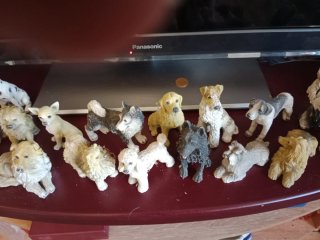 Colección perros escayola