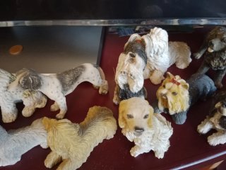 Colección perros escayola