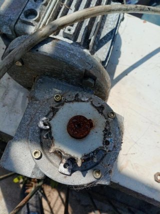 Motor con reductor