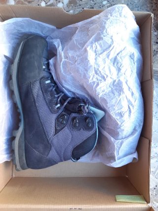 Botas Garmont Lagorai GTX
