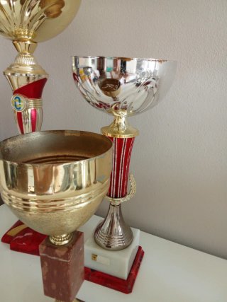 Set 4 Coppe Sportive Vintage