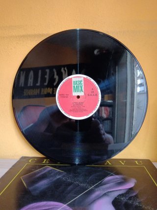Vinilo EBM remember