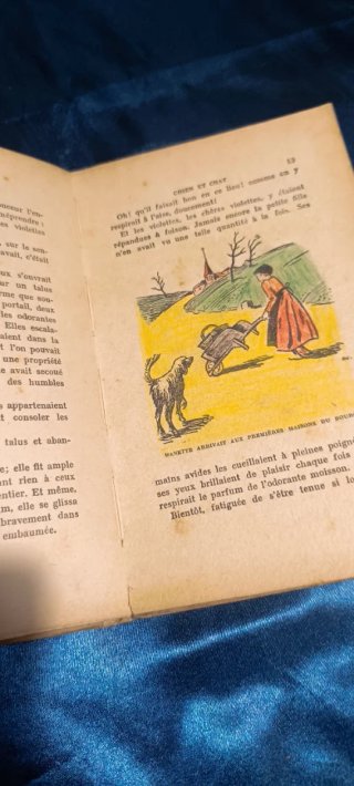 Pierre Mael Chien et Chat Libro Antiguo Hachette