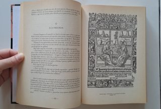 El médico