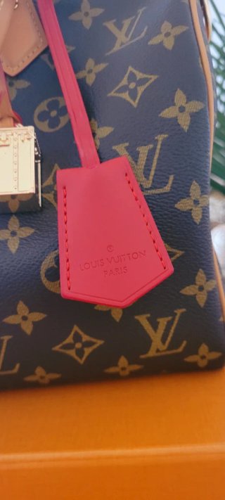 Bolso Louis Vuitton softy Speedy 30