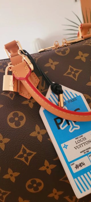 Bolso Louis Vuitton softy Speedy 30