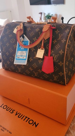 Bolso Louis Vuitton softy Speedy 30