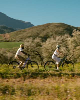 Bicicleta eléctrica trekking motor central cuadro bajo