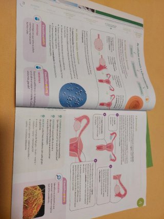 Ciencias da naturaleza, 6 Primaria, Proxecto Co...