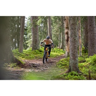 Bicicleta eléctrica montaña 29" Rockrider E-EXPL 520 Mango