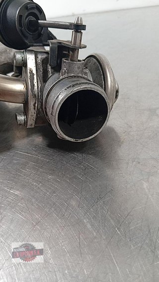 COLECTOR ADMISION Volkswagen Golf IV Berlina (1J1)(10.1997->2004)